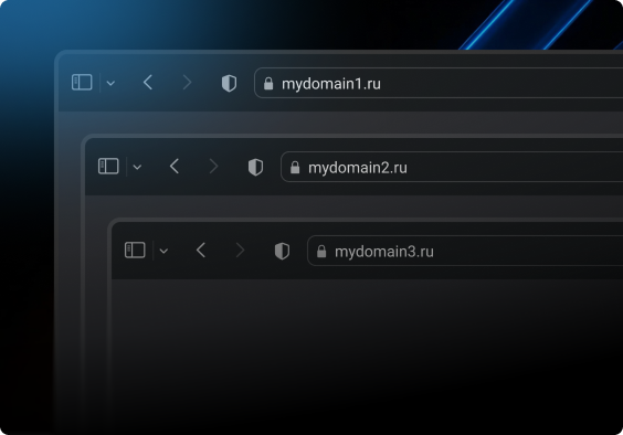 Мультидоменность